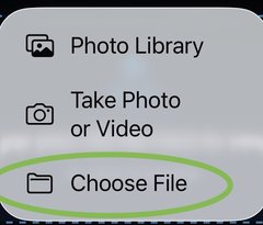 iOS file picker showing Choose File option circled